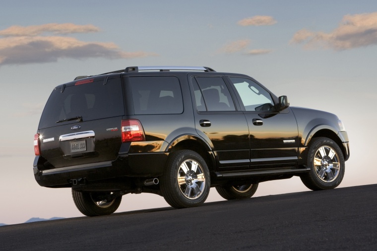 2010 Ford Expedition Picture