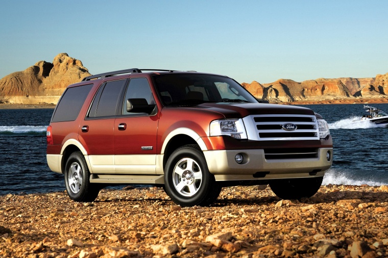 2010 Ford Expedition Picture