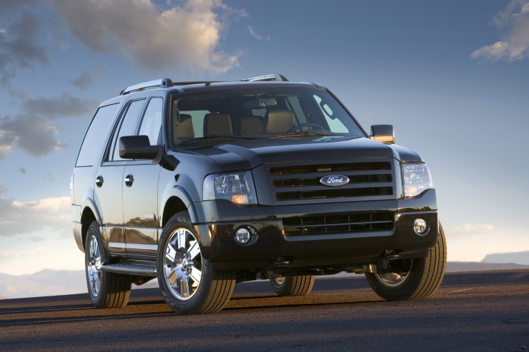 2010 Ford Expedition Picture