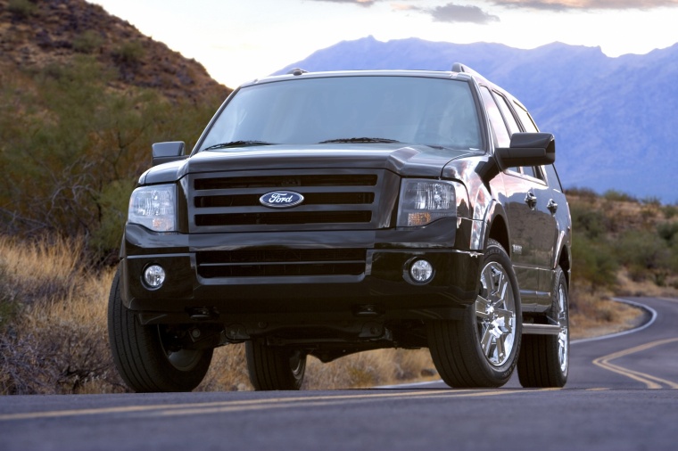 2010 Ford Expedition Picture