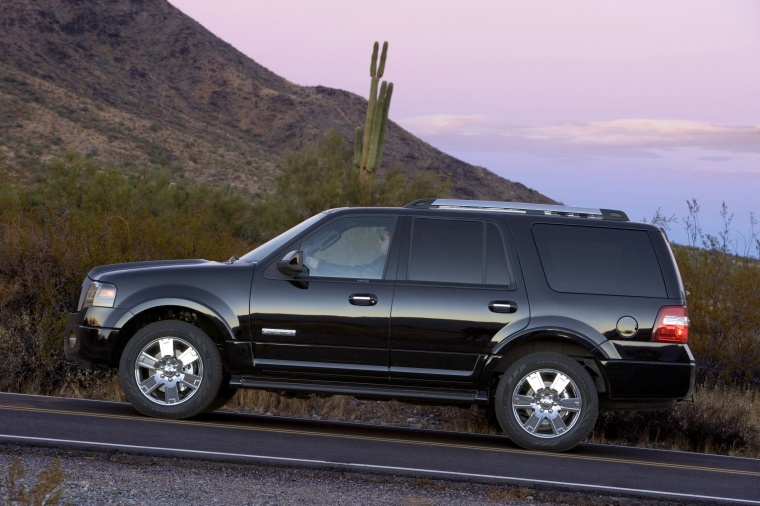 2010 Ford Expedition Picture