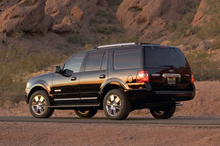 2010 Ford Expedition Picture