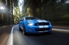 2010 Shelby GT500 Coupe Picture