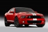 2011 Shelby GT500 Coupe Picture