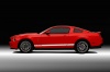 2011 Shelby GT500 Coupe Picture