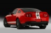 2011 Shelby GT500 Coupe Picture