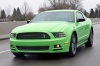 2014 Ford Mustang GT Coupe Picture