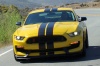 2017 Shelby GT350 R Picture