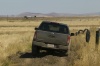 2012 Nissan Frontier Crew Cab PRO-4X 4WD Picture