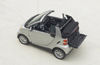 2009 Smart Fortwo Cabrio Picture